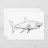 Haaienschets Briefkaart (Voorkant / Achterkant)