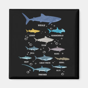 Haaiensoort Shark Faces Marine Biology Magneet