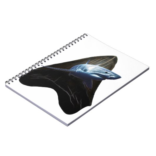 Haaientand 2019 notitieboek (Linkerzijde)