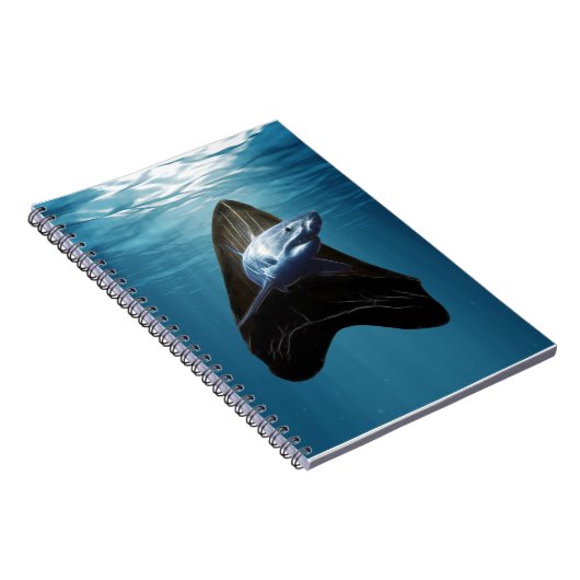 haaientand notitieboek (Rechterzijde)