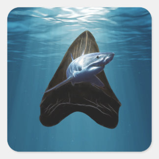 haaientand vierkante sticker