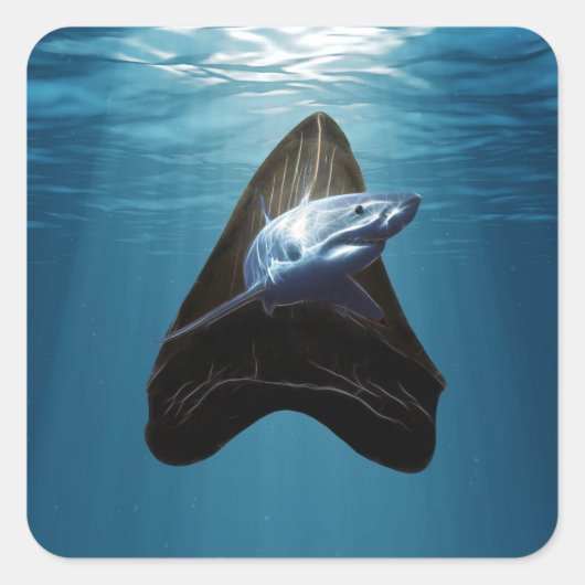 haaientand vierkante sticker (Voorkant)