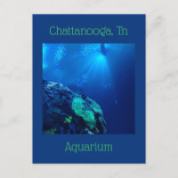 Haaientank bij Chattanooga Tennessee