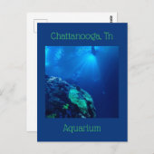 Haaientank bij Chattanooga Tennessee Briefkaart (Voorkant / Achterkant)