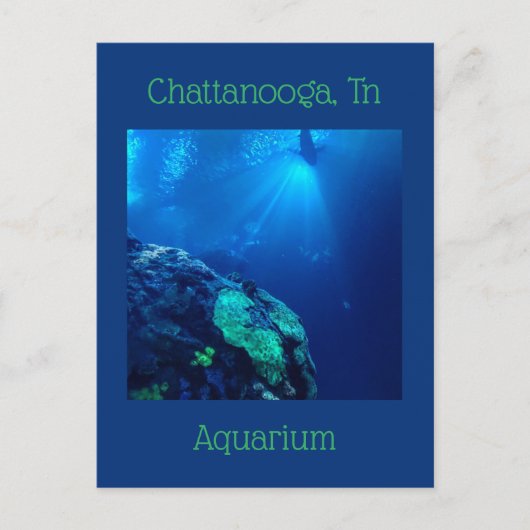 Haaientank bij Chattanooga Tennessee Briefkaart (Voorkant)