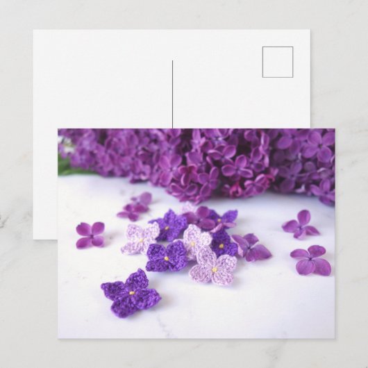 Haak Lila Briefkaart (Voorkant / Achterkant)