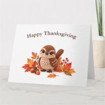 Haaksteek Winterkoninkje Prettig Thanksgiving