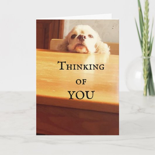 HAAL ***AUGUSTUS BIRTHDAY*** AAN U! KAART (Voorkant)