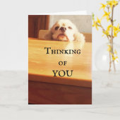 HAAL ***AUGUSTUS BIRTHDAY*** AAN U! KAART (Gele Bloem)