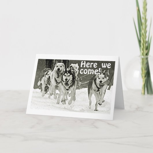 HAAL BIRTHDAY **SISTER** OP ONZE MANIER!! KAART (Voorkant)