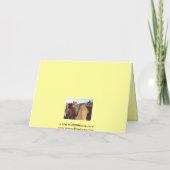 Haal een goed geslipte zadelkaart in huis - Wester Kaart (Achterkant)