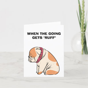 Haal goede Kaarten voor honden