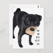 Haal grote beten uit het leven briefkaart (Voorkant / Achterkant)