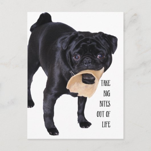 Haal grote beten uit het leven briefkaart (Voorkant)