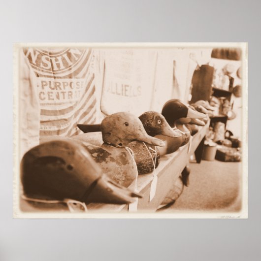 Haal je eenden in een rij poster (Voorkant)