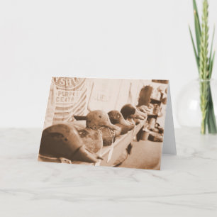 Haal je eenden op een rij - Wenskaart Kaart