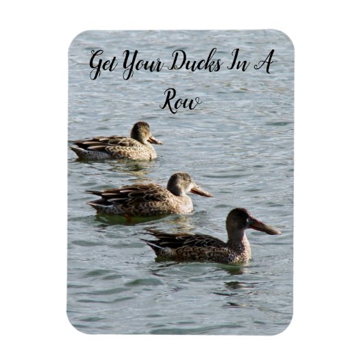 Haal je spullen in een rij magneet (Verticaal)