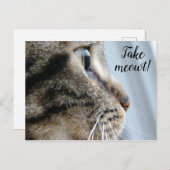 Haal me eruit! Cat Kitten Valentijnsdag Briefkaart (Voorkant / Achterkant)