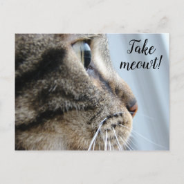 Haal me eruit! Cat Kitten Valentijnsdag Briefkaart