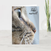 Haal me eruit! Cat Kitten Valentijnsdag Kaart (Voorkant)