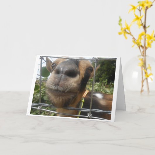 HAAL ME ERUIT ZODAT IK ME EEN GELUKKIGE VERJAARDAG KAART (Gele Bloem)