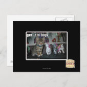 Haal me jongens briefkaart (Voorkant / Achterkant)