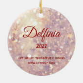 Haal me omhoog! 2021 Vakanaal-Delfinia Keramisch Ornament (Achterkant)