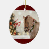 Haal me omhoog! ornament 2020 Vakantie - Delfinia (Rechts)