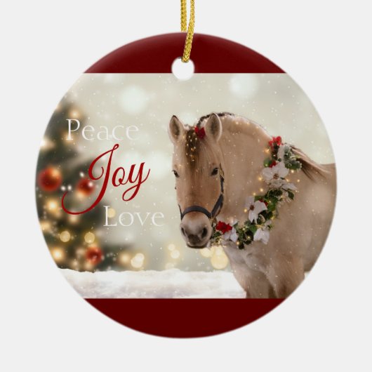 Haal me omhoog! ornament 2020 Vakantie - Delfinia (Voorkant)