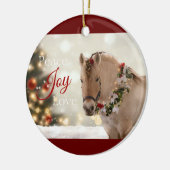 Haal me omhoog! ornament 2020 Vakantie - Delfinia (Links)