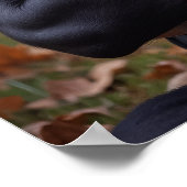 Haal. Nap. Herhaal. Voor 100 missies. Poster (Hoek)