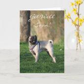 Haal Pug snel in het wenskaart van het park Kaart (Gele Bloem)