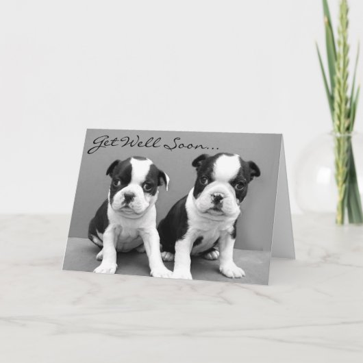 Haal snel de Puppies van Boston Terrier Kaart (Voorkant)