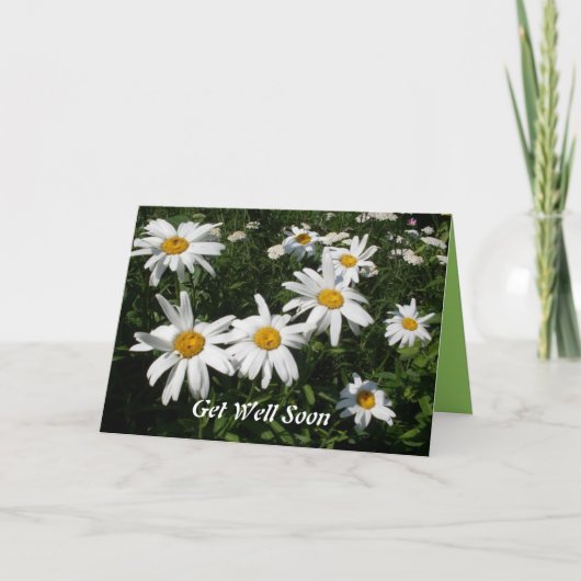 Haal Well Daisies Kaart (Voorkant)
