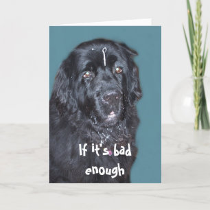 Haal Well~ Newfoundland Dog Card Kaart