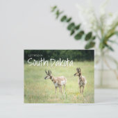 Haal Wild in South Dakota Briefkaart (Staand voorkant)