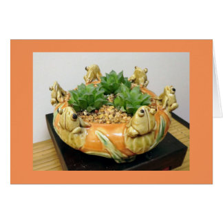 Haalheid met kikkers door Succulente Design