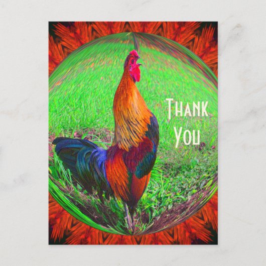 Haan Abstracte Natuur Dankkaart Briefkaart (Voorkant)