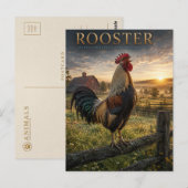 Haan Boerderij ANIMALS Briefkaart (Voorkant / Achterkant)