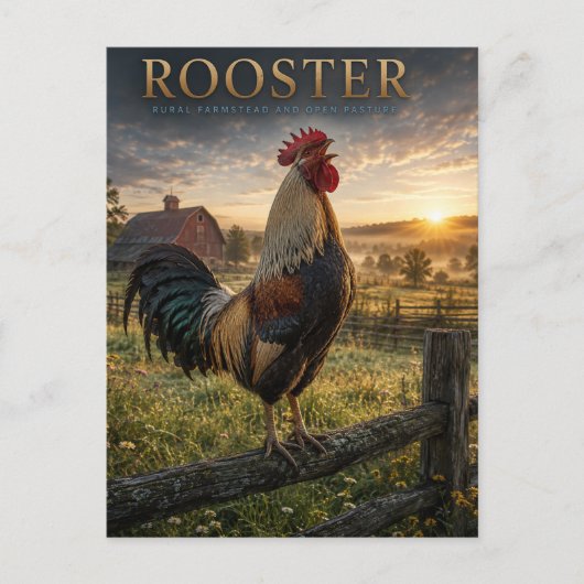 Haan Boerderij ANIMALS Briefkaart (Voorkant)