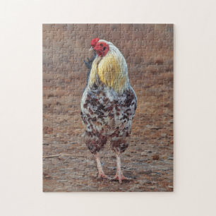Haan Boerderij Gratis Range Chicken Art Puzzel