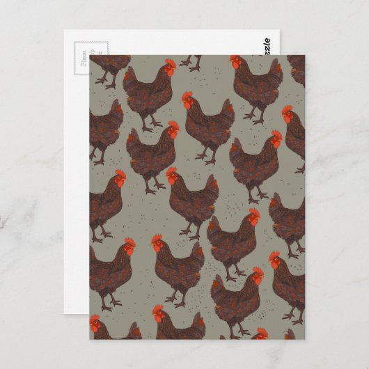 haan-boerenerf briefkaart (Voorkant / Achterkant)