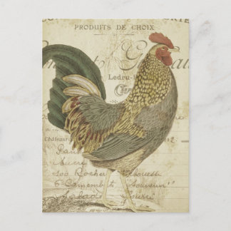 Haan Bruin Veren Franse Ephemera Briefkaart