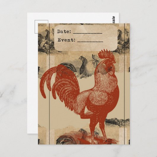  haan collage briefkaart (Voorkant / Achterkant)