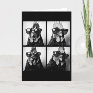 Haan Draagt Zonnebril Photobooth Selfie Boerderij Kaart
