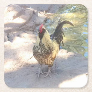 Haan Drink Coasters Kartonnen Onderzetters