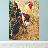 Haan en Hen in een Struikgewas Canvas Afdruk (Insitu (Houten vloer))