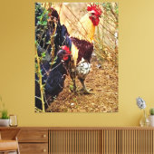 Haan en Hen in een Struikgewas Canvas Afdruk (Insitu (Woonkamer))