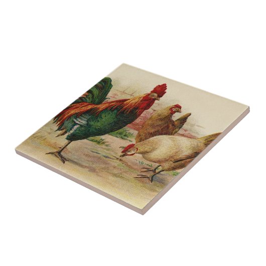 haan en kippen home decor tegel tegeltje (Zijkant)