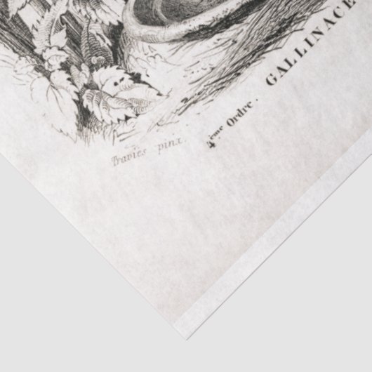 Haan Ephemera Decoupage Boerderij Kip Tissuepapier (Detail)